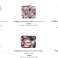 Tahari Ladies Wallets Assortimento - 48pcs foto 3