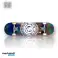 ELEMENT SKATE BOARDS COMPLÈTE 120pcs. photo 4