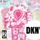 DKNY wholesale girls sets 100pcs image 2