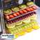 Food Dehydrator and UV Disinfection function- SARI-4 image 2