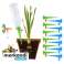 Набір для поливу рослин із 12 предметів для дому та саду PLANTDROPS зображення 2