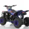 Quad para niños/ Quad XTL Commander 70CC fotografía 5