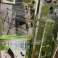 Meubles de jardin et accessoires d’extérieur et de jardin et palettes mixtes photo 3
