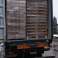 2in1 pulverkaffe Arrogant 10gr bilde 3
