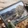 Supcase Unicorn Beetle Pro til Galaxy Tab A7 10.4 T500/T505 Sort billede 6