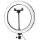 Alogy Ring Lamp με τρίποδο για φωτογραφίες μακιγιάζ εικόνα 1