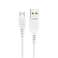 Ładowarka sieciowa USB 2.4A Single Fast Charger   Kabel USB do micro U zdjęcie 1