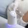 Humidificateur d’air avec diffuseur d’arôme Aromathérapie Renne 250ml Bia photo 3
