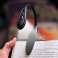 LED Universal Reading Clip Wireless para Laptop foto 3