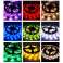 RGB LED Strip Farve 5m 50x50 Vandtæt IP65 MultiChip Stor fjernbetjening billede 4
