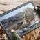 Supcase Einhorn Käfer Pro für Samsung Galaxy Tab S7 Plus / S8 Plus Bild 2