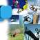 Siliconen Case 2in1 Alogy lens cover voor GoPro Hero 9/10 Heaven foto 6