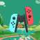 Dokkimisjaama laadija padjakontrolleri hoidja Nintendo Switchi jaoks foto 6