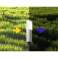 Solar-Gartenlampe FDTWLV Outdoor-Solarlampe 56cm Inox Bild 6