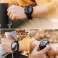 Pouzdro Ringke Fusion X Guard pro Apple Watch Ultra 49m fotka 4