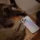 UNIQ Coehl Lineārais tālruņa maciņš Apple iPhone 14 6,1" stardust attēls 3
