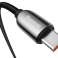 1m Baseus kabelis USB-C Type C laidas su PD 5A 100W Bla srovės matuokliu nuotrauka 3