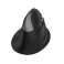 Delux M618Mini BT + 2.4G RGB 4000DPI souris verticale sans fil (noir) photo 2