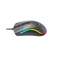 Souris universelle Havit MS72 RGB photo 2