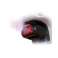 MRC-UV PGYTECH filter for DJI Mavic Mini / DJI Mini 2 (P-12A-017) image 1