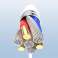 Joyroom HUB multifunctional OTG adapter Lightning - USB 3.2 Gen 1 (3.0, image 1