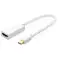UGREEN Adapter Adapter FHD (1080p) HDMI (Buchse) - Mini Dis Bild 1