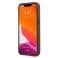 Чехол Guess GUHCP13L4GMGBR для Apple iPhone 13 Pro / 13 6,1" коричневый/бро изображение 4