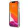 Чохол Guess GUHCP13LLG4GGO для Apple iPhone 13 Pro / 13 6,1" золото/золото зображення 4