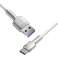 Câble Baseus Cafule USB vers USB-C, 66W, 2m (blanc) photo 1