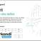 GANTS EN COTON POUR FEMMES LIVINGUARD photo 6