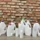PLASTIC VERPAKKING voor vloeistoffen - FABRIKANT - fles wit/kleur foto 6