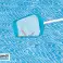 KIT DI PULIZIA PER LA PULIZIA DELLE PISCINE CON UN ASPIRAPOLVERE AD ACQUA foto 1