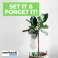 12 PCS ENSEMBLE D’ARROSAGE - PLANTYWATERY photo 4