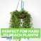 12 PCS ENSEMBLE D’ARROSAGE - PLANTYWATERY photo 2