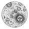 Popsockets 2 Plant Cosmic Sun Βάση Τηλεφώνου & Βάση εικόνα 1