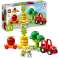 LEGO DUPLO Zöldség- és gyümölcstraktor 10982 kép 2