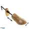 Genius Ideas GD 065500: 1 Stück Damen Schuhspanner aus Holz Bild 3