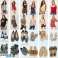 Didmeninė prekyba vasariniais moteriškais drabužiais ir avalyne - Europos prekių ženklų asortimentas nuotrauka 3