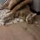 Jouet pour chat PREYPLAY photo 3