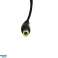 Alimentazione CC 12V 2A 24W Pin 5.5/3.0 Ktec LED Illuminazione foto 3