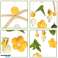 Karussell für Kinderbett Plüschanhänger gelbe Blumen Bild 2