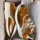 SCOTCH&SODA Footwear Collection: Diverse modeller og størrelser i originalemballasje bilde 3