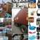 Home Export Bazaar XXL The Best Selection of New Products - Quality Guaranteed, No Returns, New & Perfect Overstock image 1