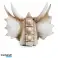 Schaduwen van duisternis Dragon Skull Ornament Groot foto 4