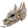 Shadows of Darkness Dragon Skull Wall Plaque photo 1