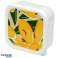 Florens Hesperantha Beslenme Kutuları 3 M/L/XL'lik öğle yemeği kutuları seti fotoğraf 4