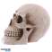 Levensgrote realistische schedel spaarpot foto 4