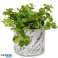 Pick of the Bunch Lavender Indoor Plant Pot Small image 1