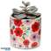 Pick of the Bunch Poppy Indoor Plant Pot Large slika 1