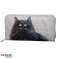 Kim Haskins kattepung med stor lynlås billede 1
